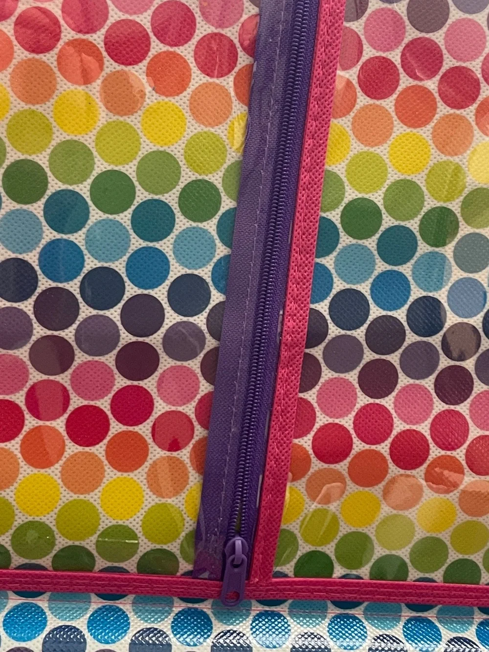 Lisa Frank Storage Case